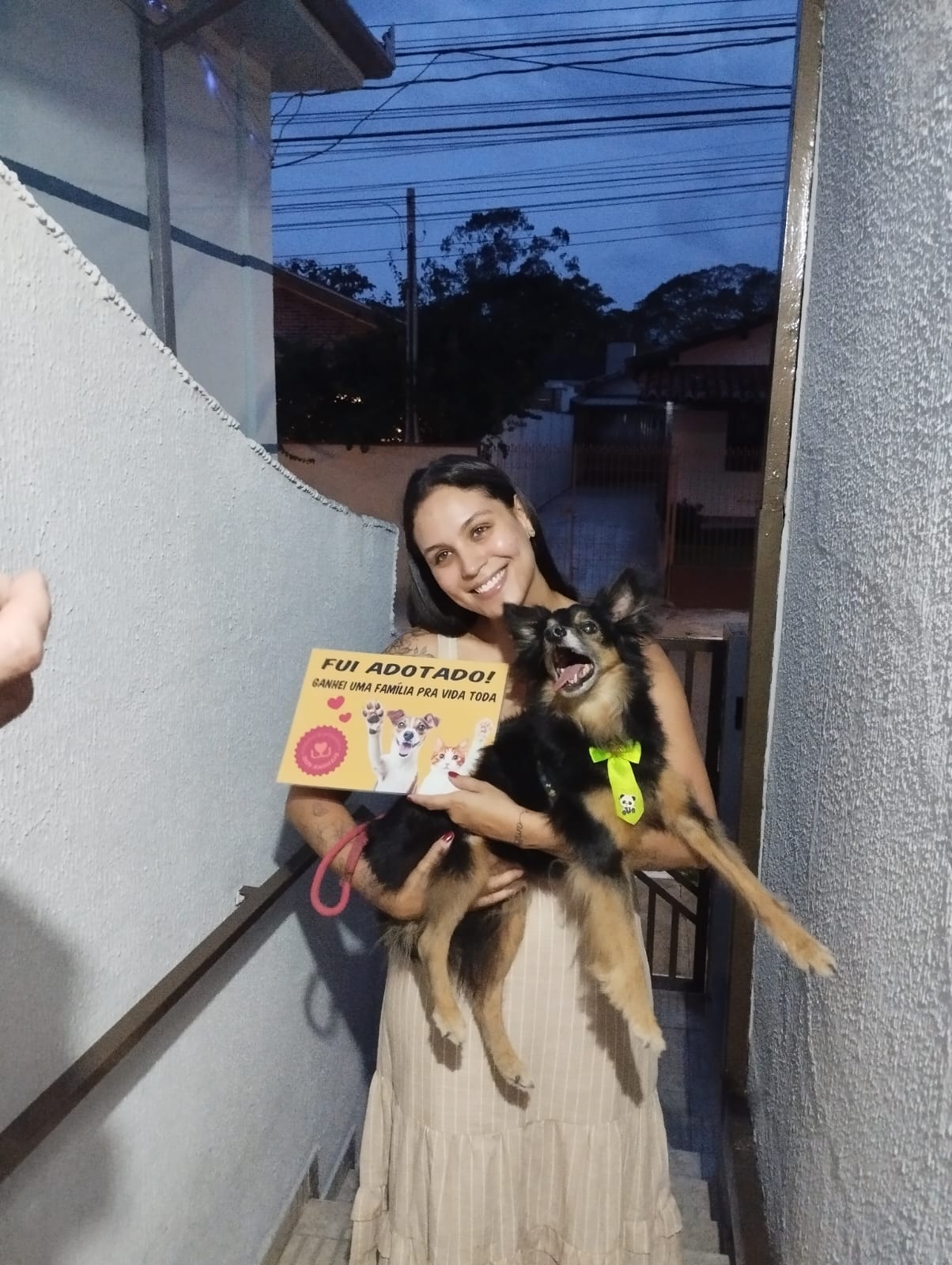 Família nova ao entardecer