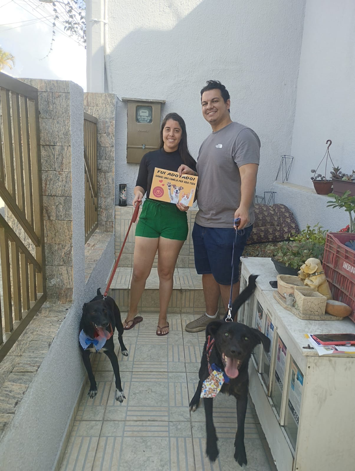 Adoção em dupla