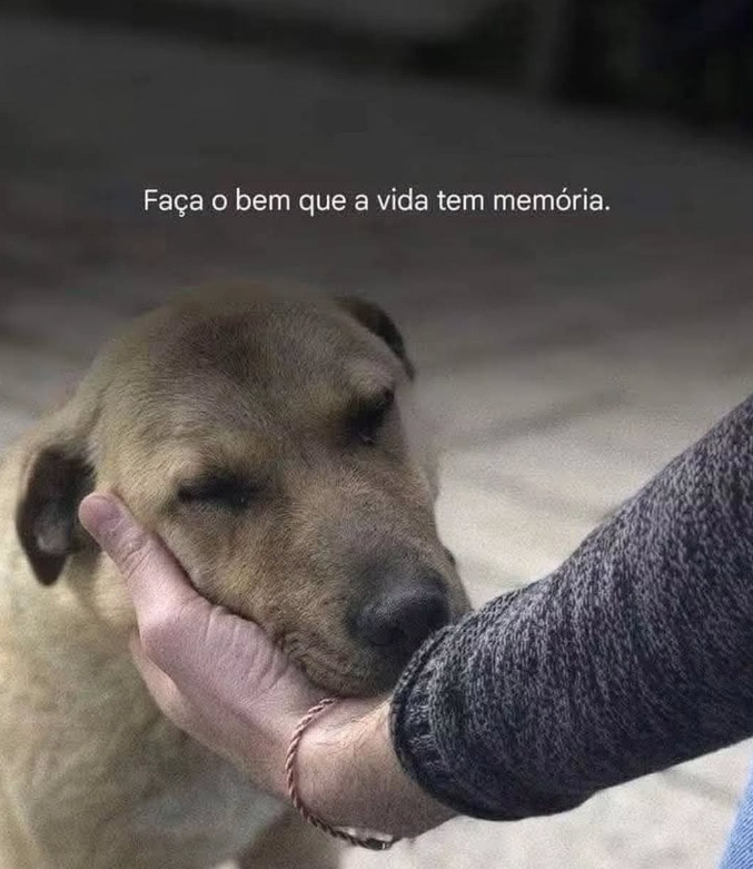 Faça o bem que a vida tem memória